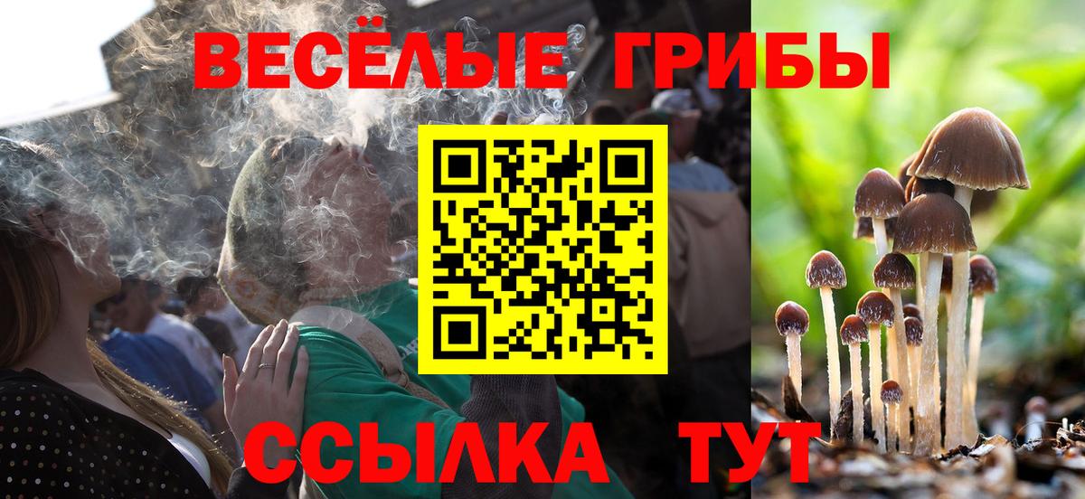 Псилоцибиновые грибы мухоморы Приморско-Ахтарск