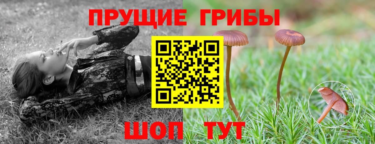 Приморско-Ахтарск  Псилоцибиновые грибы мицелий  наркота  Вход с VPN 
